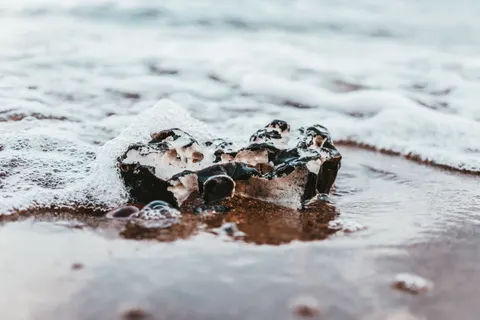 Black Sand Beach 4K Wallpaper · travel · 3840×2560