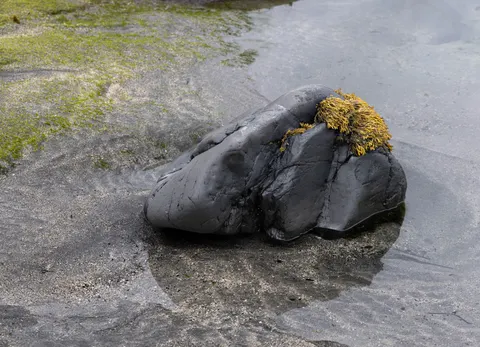Black Sand Beach 4K Wallpaper · travel · 3840×2773