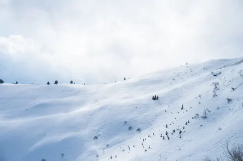 Winter Snow 4K Wallpaper · nature · 3840×2555