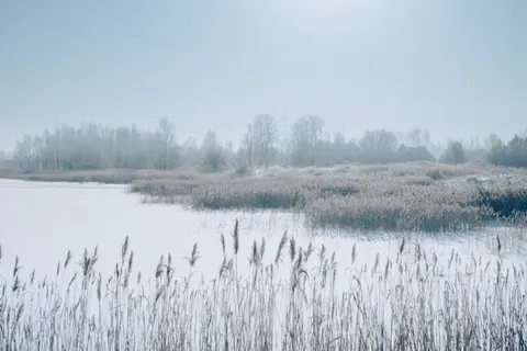خلفية ثلج الشتاء بدقة 4K · nature · 3840×2560