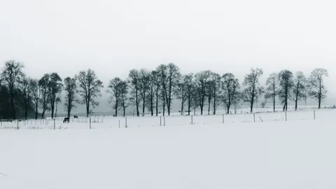 Winter Snow 4K Wallpaper · nature · 3840×2159