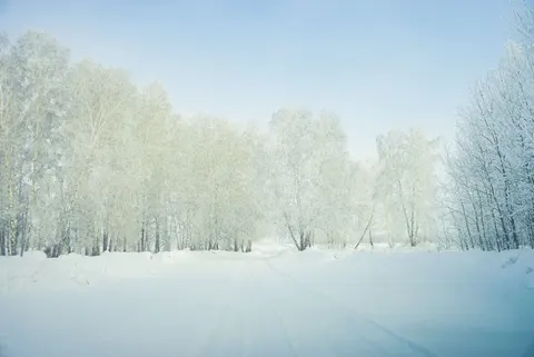 겨울 눈 4K 배경화면 · nature · 3840×2565