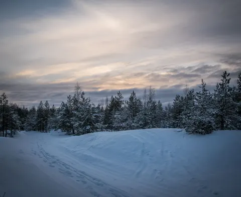 Winterschnee 4K Hintergrundbild · nature · 3840×3134
