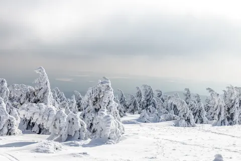 Winter Snow 4K Wallpaper · nature · 3840×2560