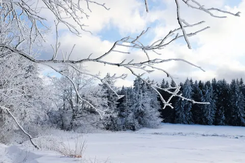 Fond d'écran Neige d'hiver 4K · nature · 3840×2560