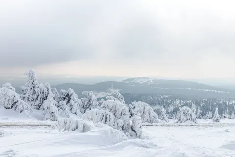 Papel de parede Neve de inverno 4K · nature · 3840×2560