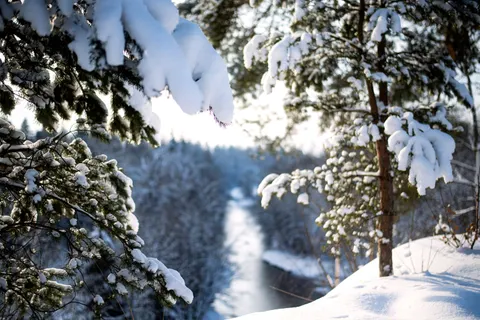 Winter Snow 4K Wallpaper · nature · 3840×2563
