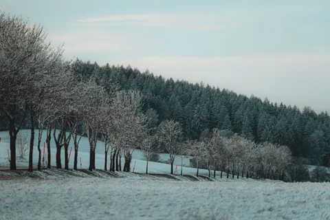 خلفية ثلج الشتاء بدقة 4K · nature · 3840×2560