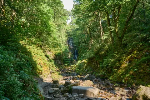 خلفية شلال الغابة بدقة 4K · waterfall · 3840×2560
