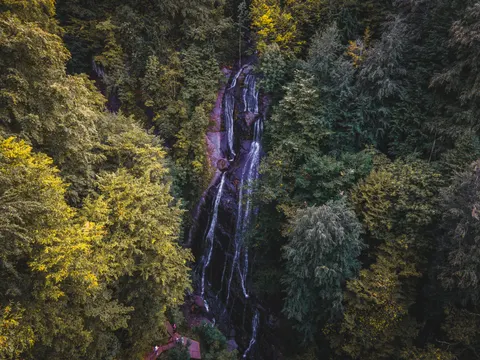 Обои Лесной водопад 4K · waterfall · 3840×2880