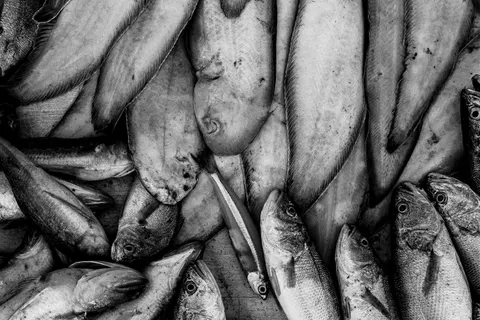 Sfondo Barriera corallina 4K · underwater · 3840×2560