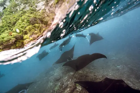 Underwater Reef 4K Wallpaper · underwater · 3840×2560