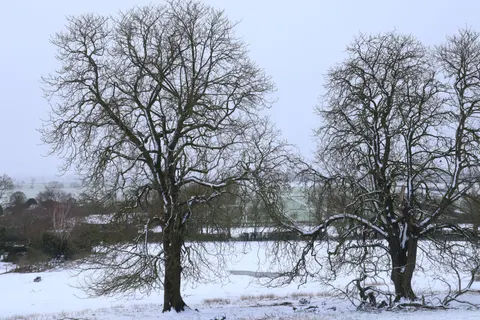 Fondo de pantalla Nieve de invierno 4K · nature · 3840×2560