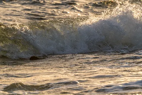 Fondo de pantalla Tortuga nadando 4K · underwater · 3840×2561