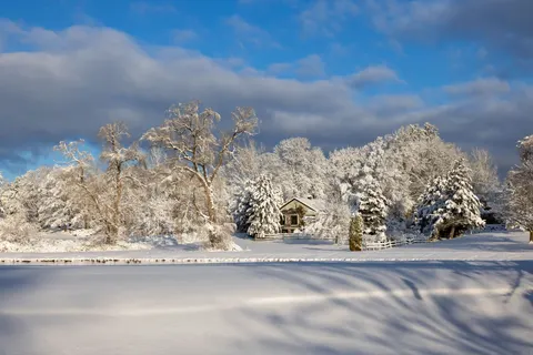 冬日雪景 4K壁纸 · nature · 3840×2561