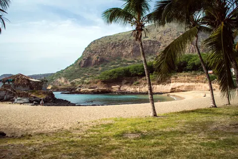 والپیپر بهشت استوایی با کیفیت 4K · tropical · 3840×2563