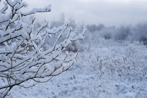 خلفية ثلج الشتاء بدقة 4K · nature · 3840×2560