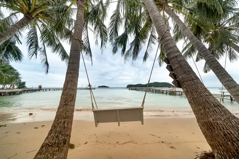Palm Trees 4K Wallpaper · tropical · 3840×2561