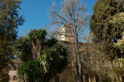 والپیپر درختان نخل با کیفیت 4K · tropical · 3840×2560