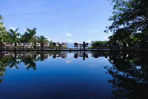Palmiye Ağaçları 4K Duvar Kağıdı · tropical · 3840×2560