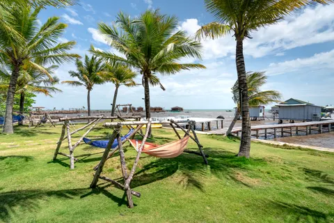 Wallpaper Pohon palem 4K · tropical · 3840×2561