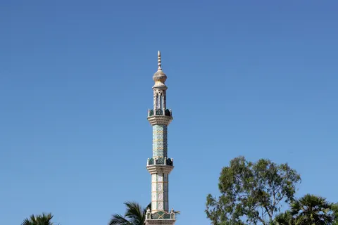 والپیپر درختان نخل با کیفیت 4K · tropical · 3840×2560