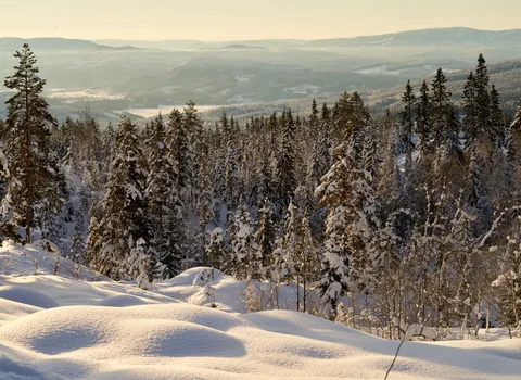 Fond d'écran Neige d'hiver 4K · nature · 3840×2797