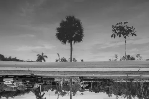 Sfondo Palme 4K · tropical · 3840×2560