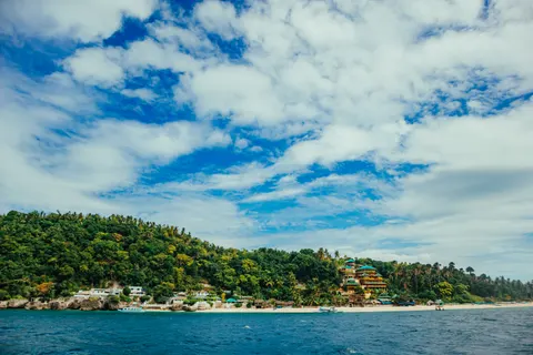 Palmiye Ağaçları 4K Duvar Kağıdı · tropical · 3840×2560