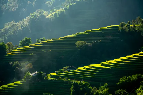 والپیپر مزارع پلکانی برنج با کیفیت 4K · nature · 3840×2561