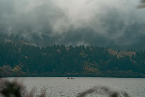 어두운 숲 4K 배경화면 · dark · 3840×2560