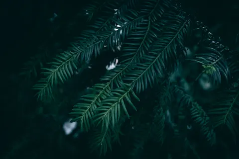 والپیپر انتزاعی تیره با کیفیت 4K · dark · 3840×2560