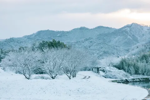 冬日雪景 4K壁纸 · nature · 3840×2560