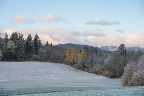 Winter Snow 4K Wallpaper · nature · 3840×2560