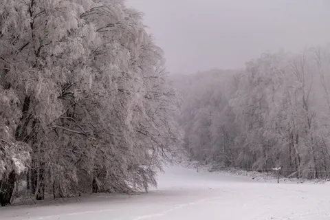 Fondo de pantalla Nieve de invierno 4K · nature · 3840×2560