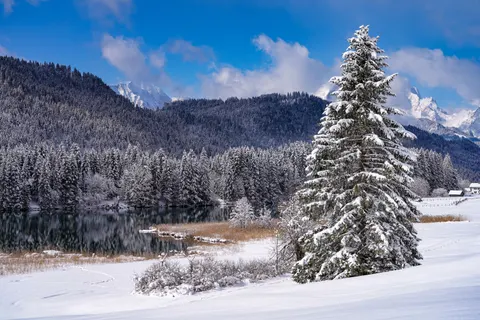 冬日雪景 4K壁纸 · nature · 3840×2560