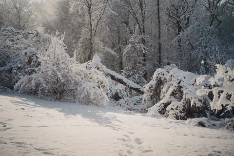 Winterschnee 4K Hintergrundbild · nature · 3840×2560