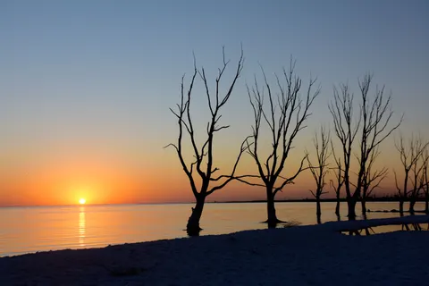 Sunset Silhouette 4K Wallpaper · sunset · 3840×2560