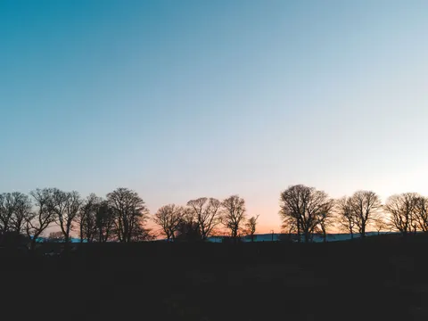 Sunset Silhouette 4K Wallpaper · sunset · 3840×2880