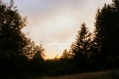 Sunset Silhouette 4K Wallpaper · sunset · 3840×2561