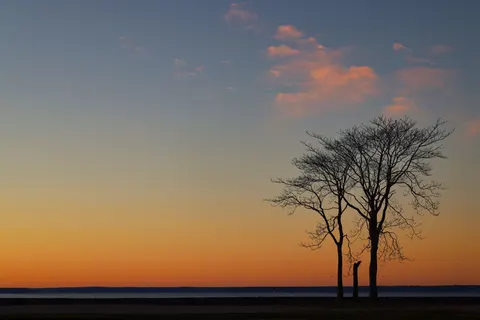 Sunset Silhouette 4K Wallpaper · sunset · 3840×2561