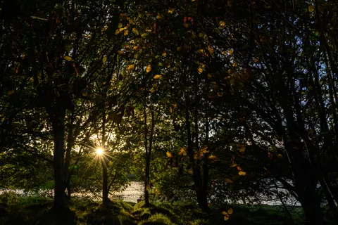 Sunset Silhouette 4K Wallpaper · sunset · 3840×2560
