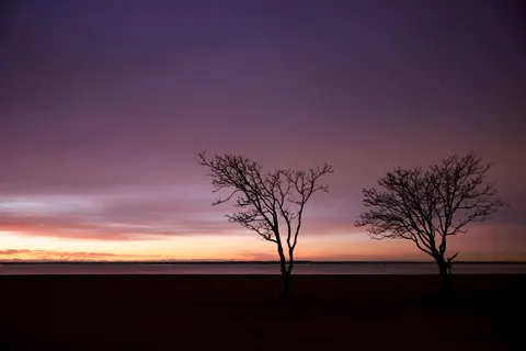 Sunset Silhouette 4K Wallpaper · sunset · 3840×2561
