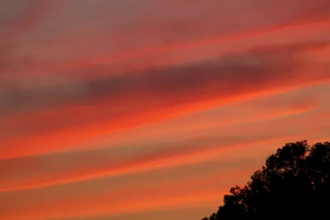 Sunset Silhouette 4K Wallpaper · sunset · 3840×2560
