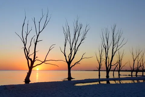 Sunset Silhouette 4K Wallpaper · sunset · 3840×2560