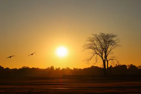 Sunset Silhouette 4K Wallpaper · sunset · 3840×2561