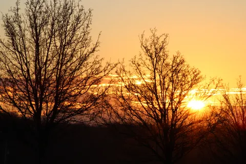 Sunset Silhouette 4K Wallpaper · sunset · 3840×2560