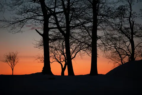 Sunset Silhouette 4K Wallpaper · sunset · 3840×2560