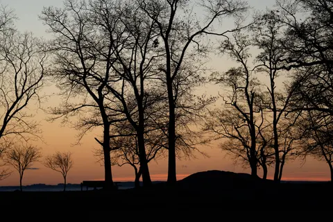 Sunset Silhouette 4K Wallpaper · sunset · 3840×2560