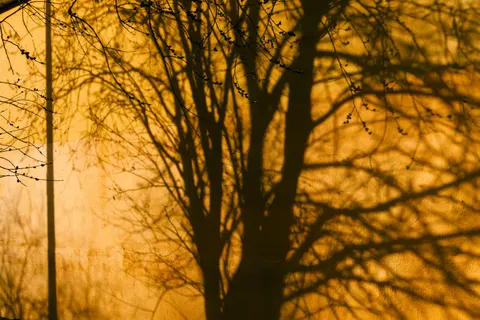 Sunset Silhouette 4K Wallpaper · sunset · 3840×2560